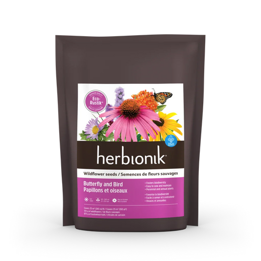 Herbionik semences de fleur sauvage papillons&oiseaux 500g