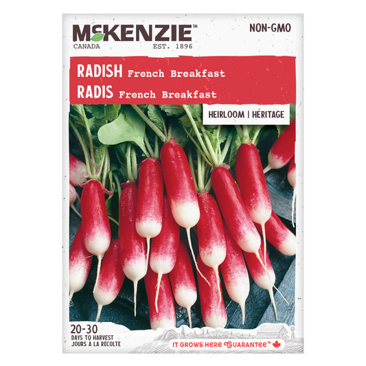 Semences Mckenzie Radis