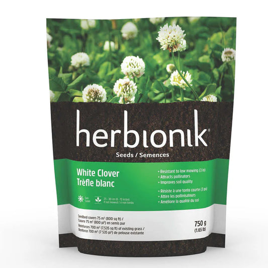 Trèfle blanc 750g - Herbionik